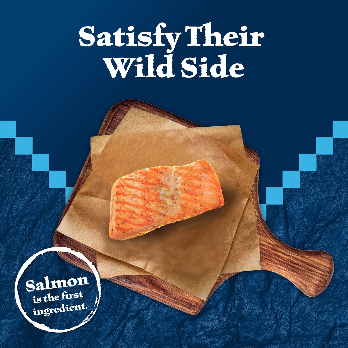Wilderness Crunchy Cat Treats, Tasty Salmon Flavor, 12-Oz. Tub