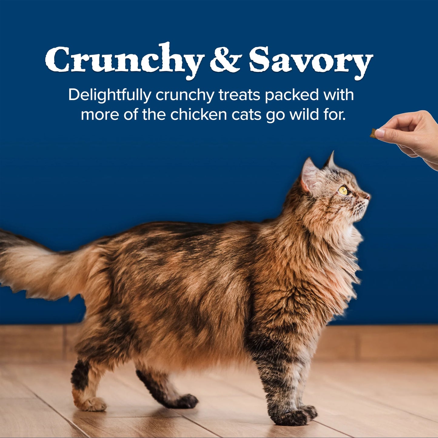 Wilderness Crunchy Cat Treats, Tasty Salmon Flavor, 12-Oz. Tub