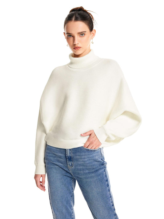 CIDER Cozy Knit Turtleneck Sweater – Ivory XS-US2D