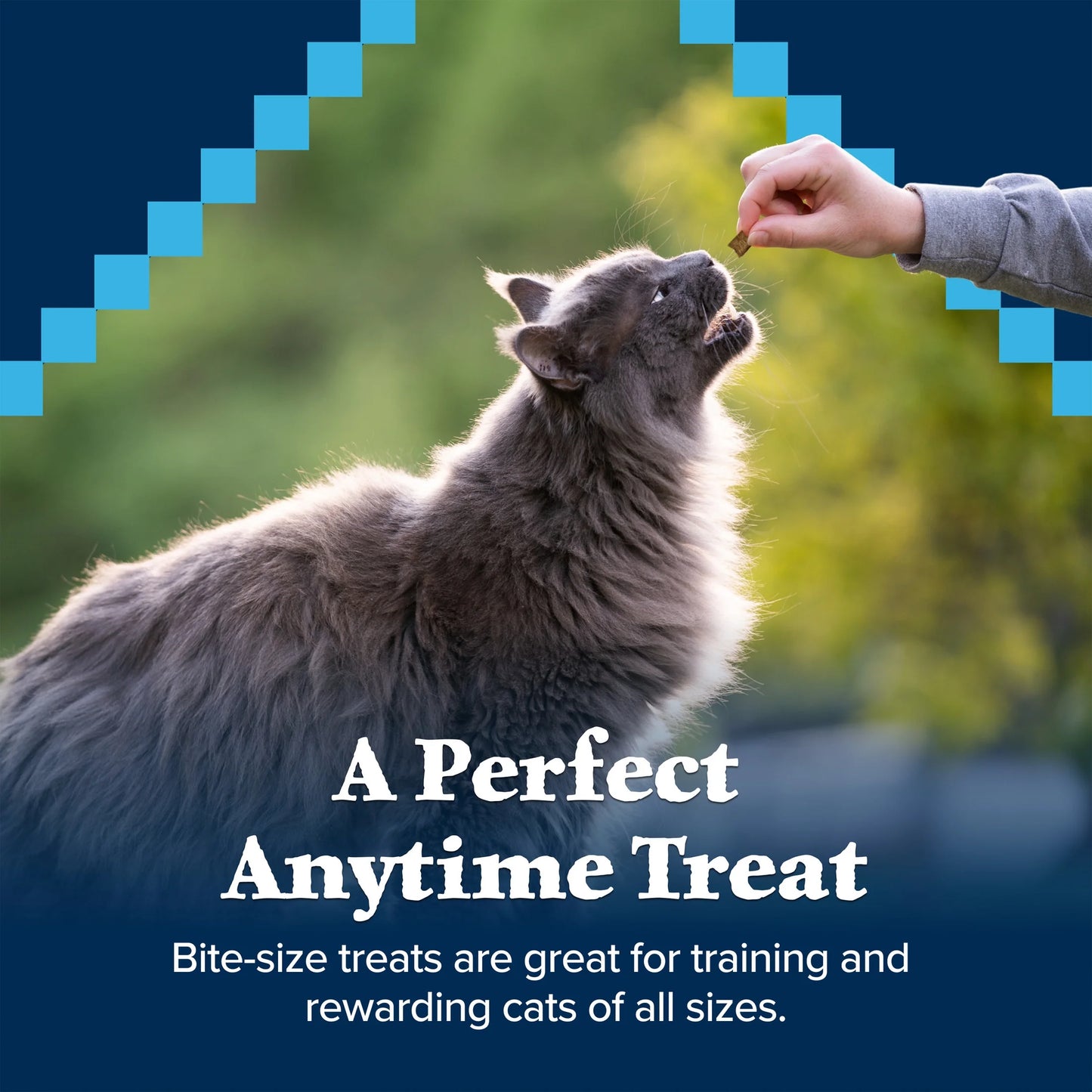Wilderness Crunchy Cat Treats, Tasty Salmon Flavor, 12-Oz. Tub
