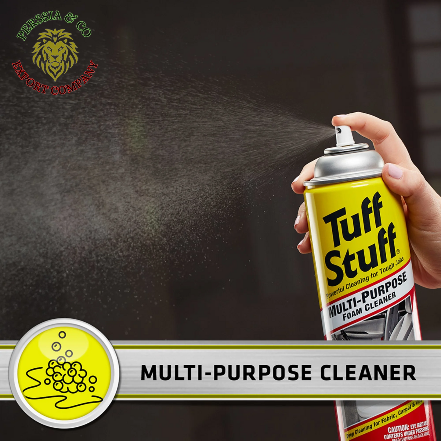 (2 Pack) Multi Purpose Foam Cleaner for Car Detailing, 22 Oz