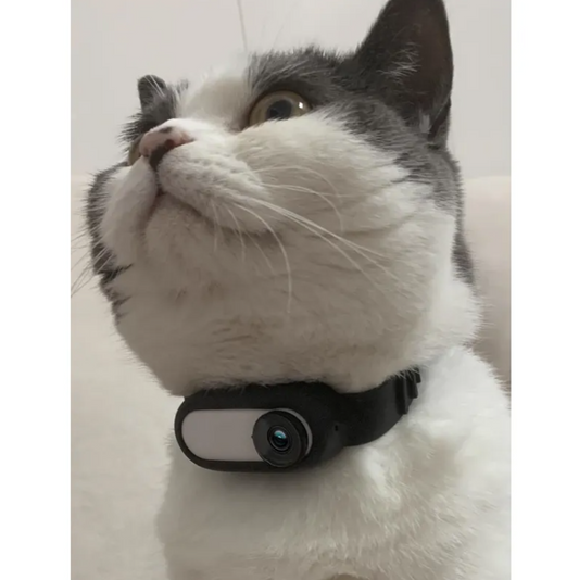 Perssia PetView™ Wireless Collar Camera - PERSSIA