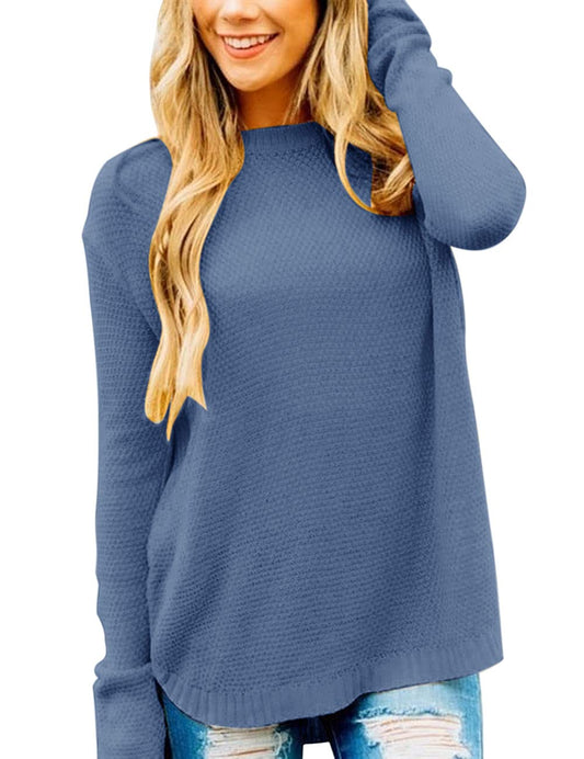 LEANI Women’s 2024 Long Sleeve Crew Neck Pullover Sweater Loose Casual Soft Knit Jumper Tops Dustyblue-US2D