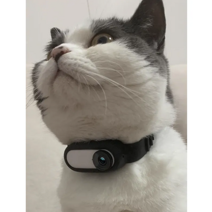 Perssia PetView™ Wireless Collar Camera - PERSSIA